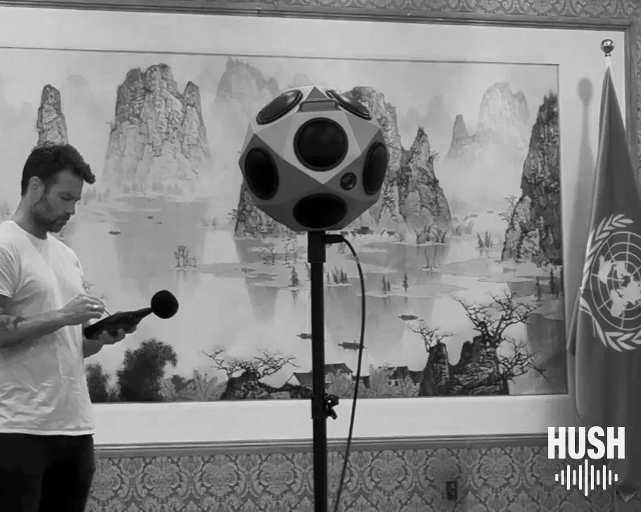 Acoustical consultant – About Hush by Hush Soundproofing