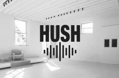 Ceiling baffle installation – Acoustic Panels by Hush Soundproofing